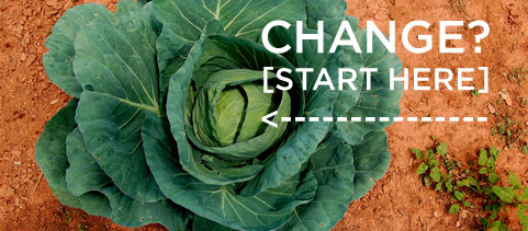 Obama, Plant a Survival Garden