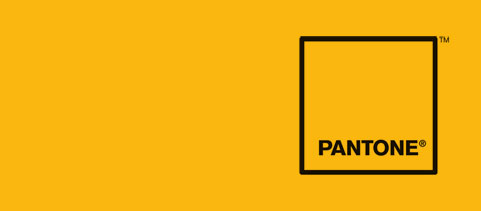 Pantone’s Color of the Year: Mimosa
