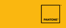 Pantone’s Color of the Year: Mimosa