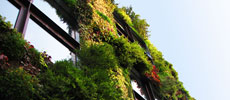Vertical Gardens