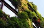 Goodlifer: Vertical Gardens, Green Roofs & Plant Walls in NYC