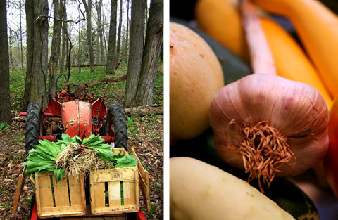 CSAs provide real food, grown by farmers you know on farms you can actually visit.
