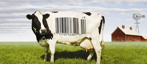 Food, Inc.