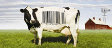 Food, Inc.