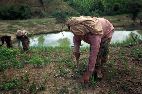 Why are the people who grow the food that keeps us all alive the poorest?
