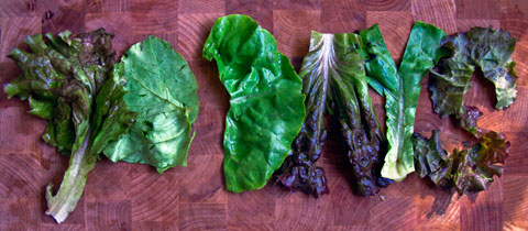 90 Days of Organic Raw Vegan-ness: week 13
