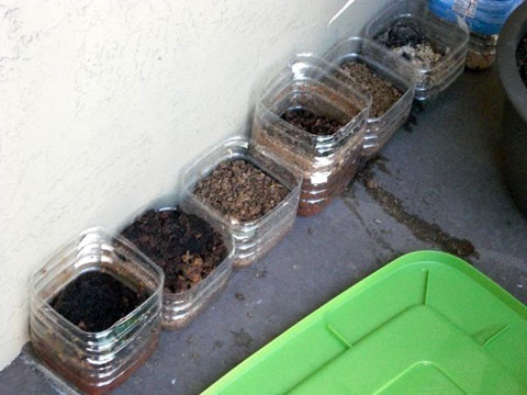 Everything is a cycle. even our food waste is turned into compost for our garden now.