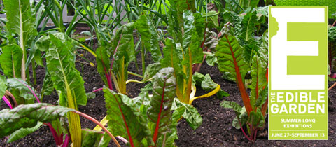 The Edible Garden