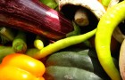 Goodlifer: Veggie Trader - A Consumer Market Place for Fresh Produce
