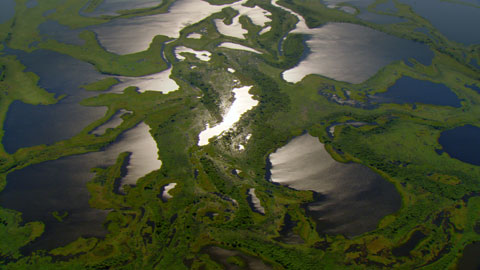 Pantanal wetlands near Corumba, Mato Grosso do Sul, Brazil (17°54' S - 57°21' W). © "HOME" – an ELZEVIR FILMS – EUROPACORP coproduction.