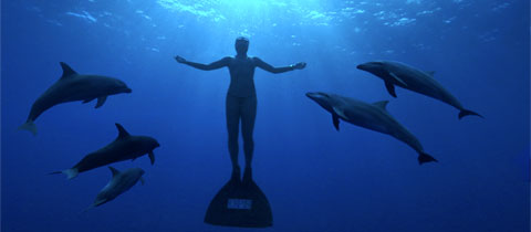 The Cove