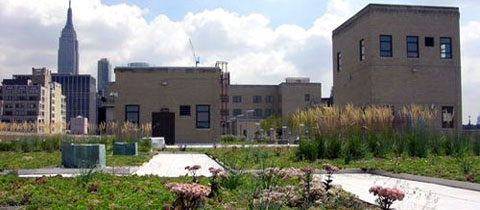NYC’s largest green roof — a post office park.