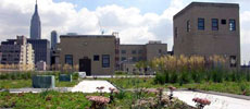 NYC’s largest green roof — a post office park.