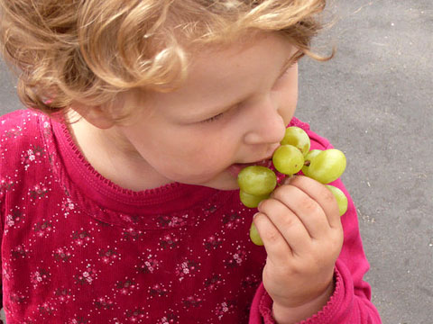 Who needs sugary candy when there are sweet grapes to devour? At the Eat-in at NYC's PS 217. Photo by Sustainable Flatbush, Creative Commons.