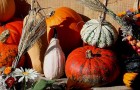 Goodlifer: Fall Holiday Decorating: Cheap, Conscious & Seasonal