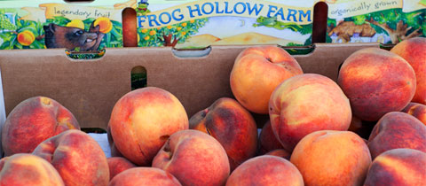 Frog Hollow Farm