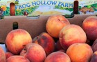 Goodlifer: It's All Peachy at Frog Hollow Farm