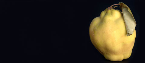 Endangered Foods