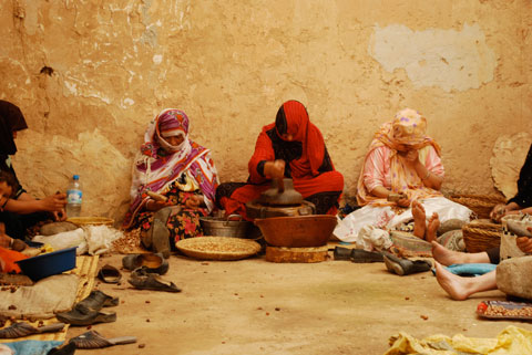 Kahina_jodor-oil Argan trees grow only in the Southwest of Morocco, and indigenous Berber women are the only ones allowed to harvest the oil.