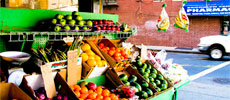 NYC Food Charter