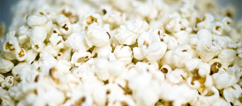 Nothin’ but Corn: Farmer Steve’s Popcorn