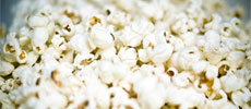 Nothin’ but Corn: Farmer Steve’s Popcorn