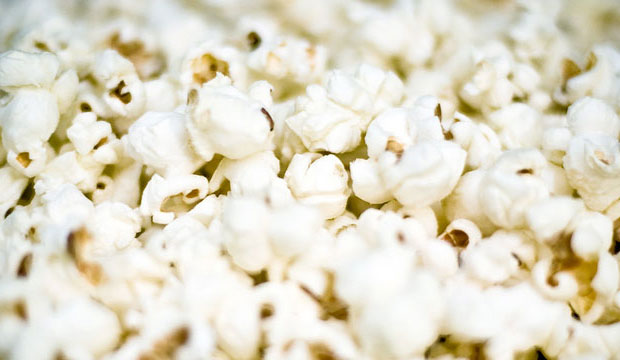 Goodlifer: Nothin' but Corn: Farmer Steve’s Popcorn