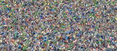 5 Facts that will make you lay off the bottle(d water) – for good.