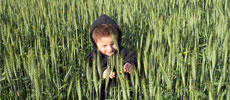 Massa Organics: Wholesome Rice
