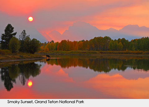 GL_WildlifePhotography_entry11182 Goodlifer: Amazing Wildlife Photography