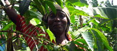 Why You Should Care About Labels – Fair Trade Explained
