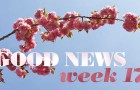 GL_GoodNews_W17_ft