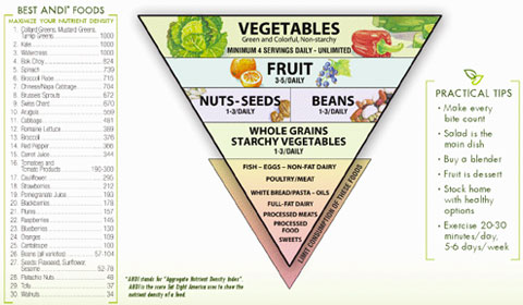 The main goal of the ANDI score system is to turn the old food pyramid on its head, emphasizing the importance of eating lots of fruits and vegetables.