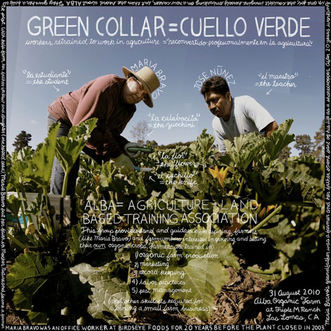 RETRAINING... AS AN ORGANIC FARMER: As workforces shift and people move out of long held job positions and re-enter the job market, the option of becoming a farmer has emerged as a viable option. Organizations around the country—like ALBA in Salinas, California—provide the necessary tools to prepare these “Green Collar” workers.