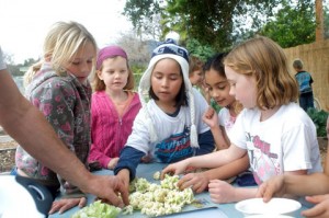 Students eating cauliflower from the garden.