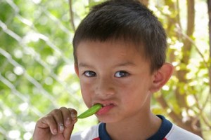 Peas are cool.