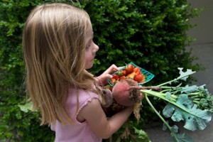 Carrying freshly grown beets and tomatoes.