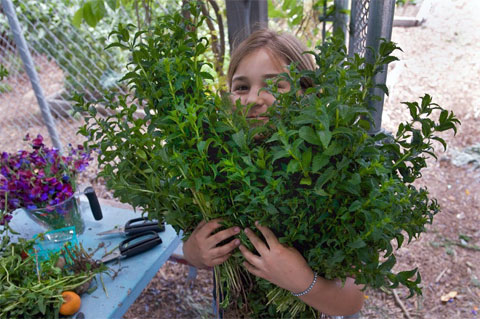 Discovering the joys of fresh greens.