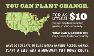 Goodlifer: Help Us Build Urban Gardens Across America