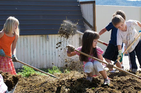 Kids getting their hands (and white pants) dirty, working in their school garden.