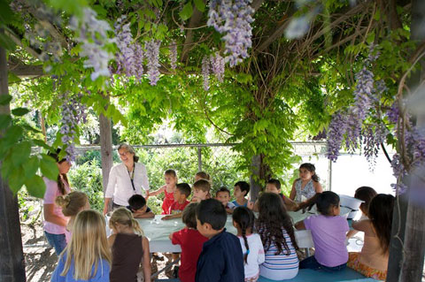 Students gathered under the canopy.