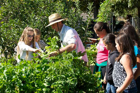 David White of Food For Thought Ojai showing the students how it's done.