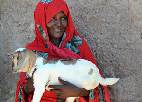 Last Minute Gift Guide: Donate a Baby Goat
