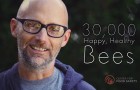 A Tour of Moby’s LA Home, Where He Keeps 30,000 Bees