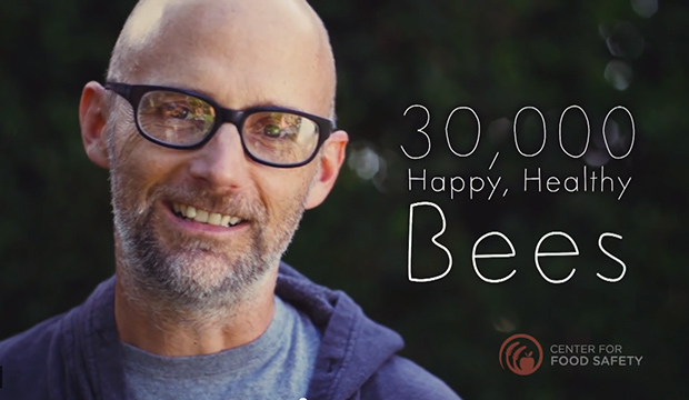 A Tour of Moby’s LA Home, Where He Keeps 30,000 Bees